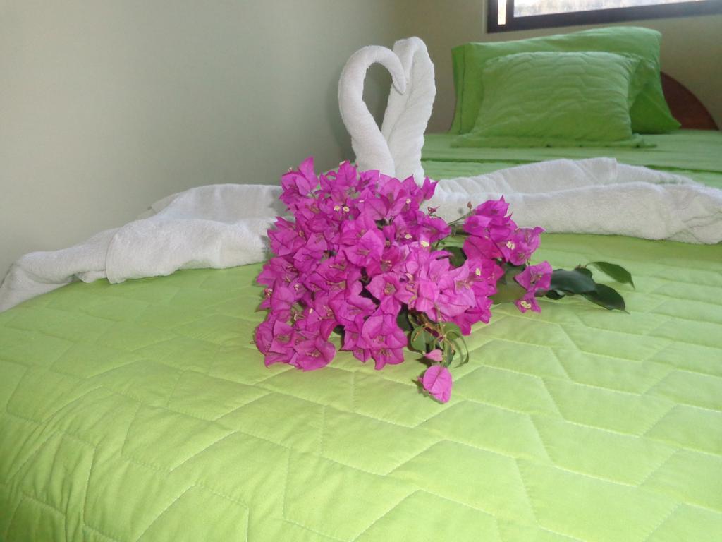 Hostal Casa Cascada 阿约拉港 外观 照片